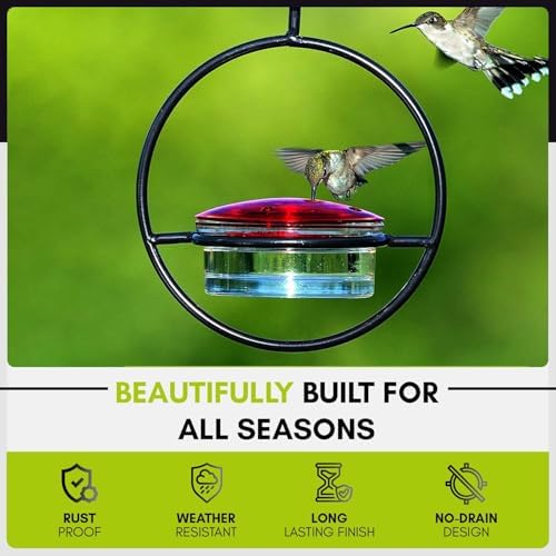 Mosaic Birds Hummble Slim Hummingbird Feeder, M045-301, 3.4 Ounce Capacity, Clear, 1 Piece