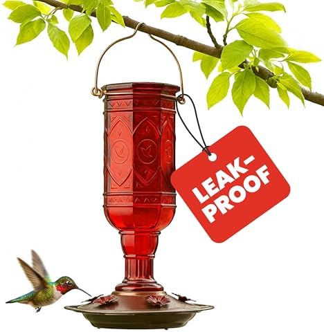 More Birds Red Jewel Hummingbird Feeder, Glass Bottle, 5 Feeding Ports and 20-Ounce Nectar Capacity (76IN)