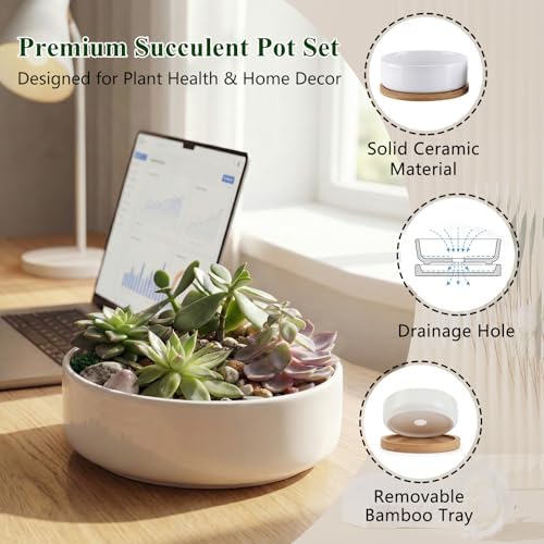 ZOUTOG 2 Pack 6" Ceramic Succulent Pots, White Planters with Drainage Tray