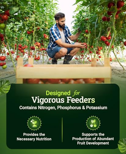 FoxFarm Happy Frog Tomato & Vegetable Fertilizer - Vegetable Fertilizer for Vigorous Feeders, 5-7-3 Blend with Calcium & Mycorrhizal Fungi