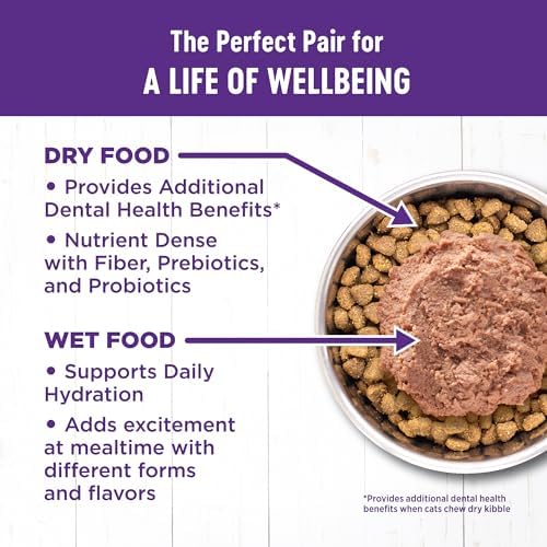 Wellness Complete Health Adult Dry Cat Food for Indoor Cats, Natural, Grain Free Kibble, Chicken Recipe, 5.5 lb Bag