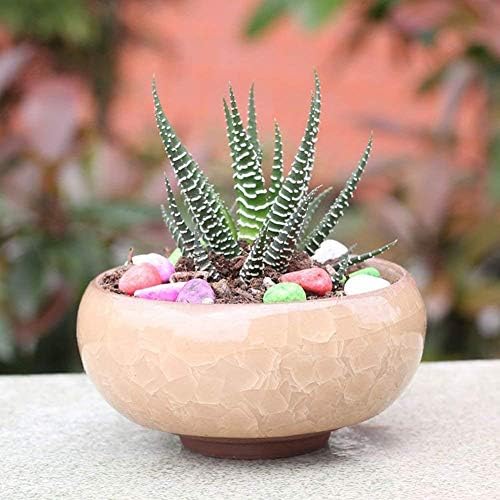 Succulent Plant Pot, 12 Pcs 2.5 Inch Ceramic Ice Crack Cactus Plant Pot/Flower Pot/Container/Planter