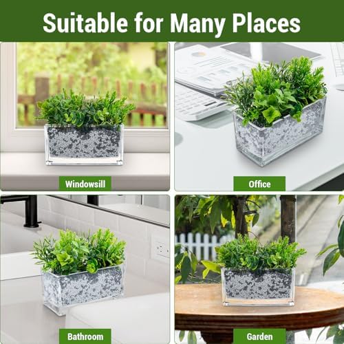 MyGift 7.8 Inch Modern Rectangular Glass Vase Trough Planter Terrarium | Clear Display Design, Tabletop Floral Centerpiece, Succulent Showcase