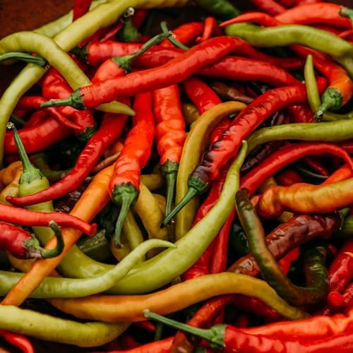 Surmeli Turkish Sweet Pepper - 25 Seeds - Rare Heirloom Turkish Pepper, USA-Grown