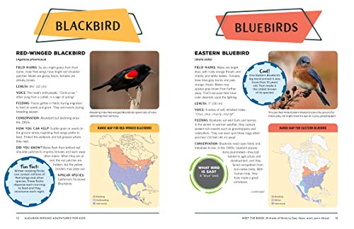 Birding Adventures for Kids: Activities and Ideas for Watching, Feeding, and Housing Our Feathered Friends