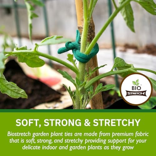 Bio-Stretch Soft Garden Twine & Plant Ties for Outdoor Plants, 1 Ball Green