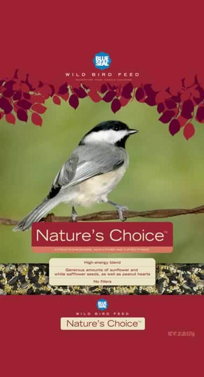 Blue Seal Nature's Choice Wild Bird Seed | High Energy Blend, Sunflower and White Safflower Seeds, No Filler | 20 Pound Bag