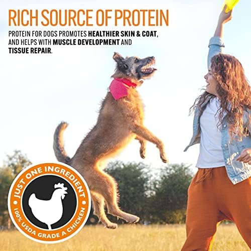 Chicken Jerky Dog Treats – Single-Ingredient 100% Real USA Chicken, 8 oz