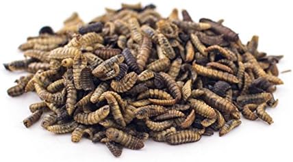 Fluker's Culinary Coop Premium Chicken Treats, Dried Soldier Worms, Packed with Protein and Calcium, 100% Natural Rich Grubs for Chicken, Backyard Birds, and Reptiles, 16 oz
