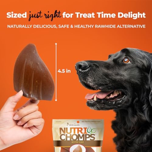 NutriChomps Rawhide-Free Dog Chews, Ear-Shaped, Chicken, 10 Count