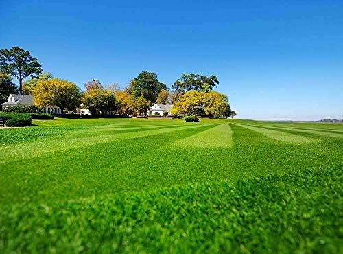 Hancock's Common Bermuda Grass Seed - Raw & Hulled - 5 lbs.