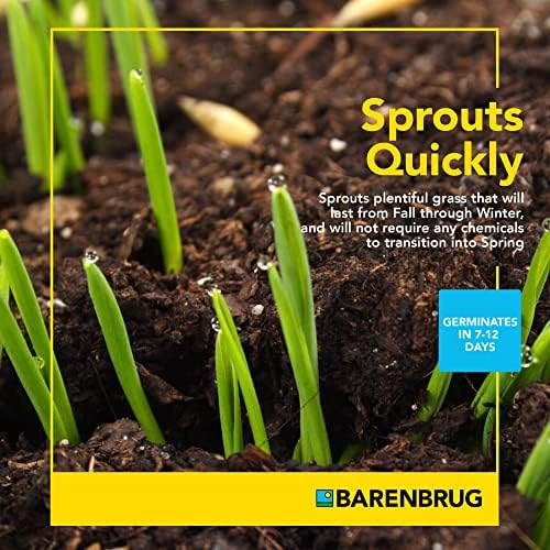 Barenbrug Wonderlawn Winter Grass Seed Mix for Lawn Care and Landscaping, 5 lbs. Bag