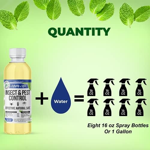 Mighty Mint Peppermint Oil Insect Repellent Spray, 16 oz | Natural Indoor & Outdoor Bug Control for Spiders, Ants, Roaches, Plant-Based, Extra-Strong Formula with Microfiber Cloth