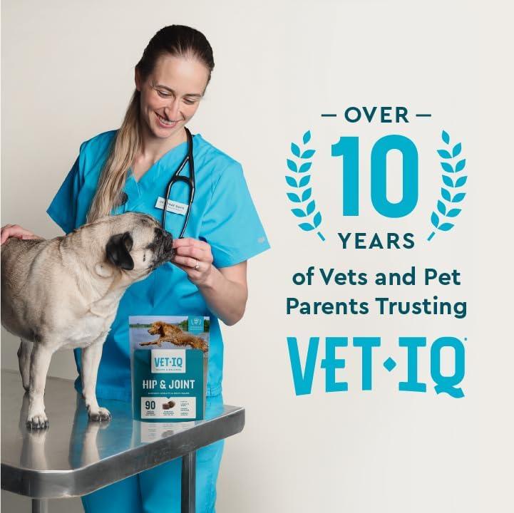 VetIQ Glucosamine Hip & Joint Supplement for Dogs, 180 Soft Chews, Joint Support Supplement with MSM and Krill, Dog Health Supplies Large & Small Breed, Chicken Flavored Chewables | Supports mobility for large & small breeds; glucosamine, MSM & krill oil…