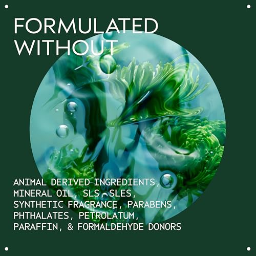 Aveda Men Pure-Formance Shampoo | Daily Lightweight Formula for Men’s Hair | Cleanses and Refreshes Hair and Scalp | Scalp Care | 96% Naturally