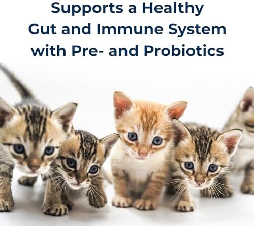 Pet-Ag KMR Kitten Milk Replacer Powder - 12 oz, Pack of 2 - Powdered Kitten Formula with Prebiotics