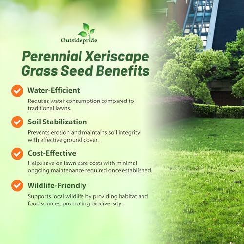 Outsidepride Xeriscape Native Prairie Grass Seed Mix – 1 lb. Perennial, Warm-Season, Cold & Drought-Tolerant, Fine Leaved, Dense Turf Grass Seeds for Lawn, Ground Cover & Arid Xeriscape Landscaping