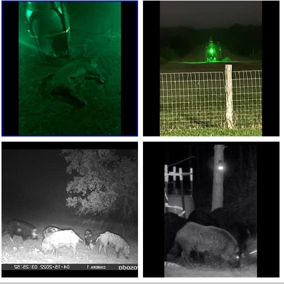 Outdoor Solar Feeder Light for Hunting with Motion Sensor and Green Light for Game Animal Hunting