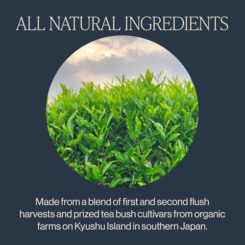 Rishi Tea Sencha Green Japanese Organic Sachet Tea Bags, Caffeinated, 15ct | Classic Japanese Sencha Green Tea, Enjoy Hot or Iced, Sustainable, 15 Servings