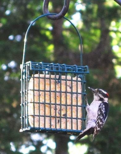 Wildlife Sciences Suet Cake Jumbo Mixed 20 Pack | 10 Apple & 10 Pecan 10.5 oz. Suet Cakes for Wild Birds