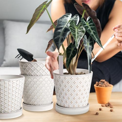 EFISPSS Ceramic Plant Pots, 5 Inch Planters with Drainage Holes and Ceramic Tray, Relief Design Flower Planter