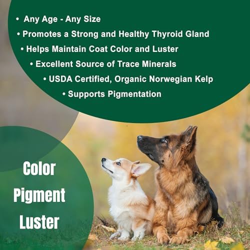 Dogzymes Organic Norwegian Kelp for Pets, a Valuable Nutrition Source Rich in Iodine to Support Gland Function, Especially The Thyroid (3 Pound)