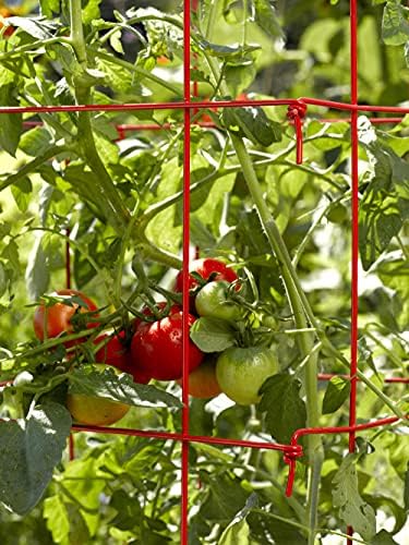 Gardener's Supply Company Lifetime Tomato Cages, Green, Set of 4
