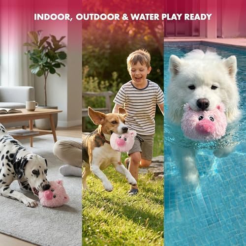 PetLou D.O.G'Z 4-inch EZ Squeaky Pig Dog Plush Toy,Durable Squeaks Bouncy Ball Dog Toy