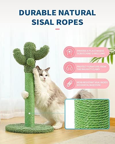 Made4Pets Cactus Cat Scratching Post for Small Indoor Cats & Kittens, 21.7"