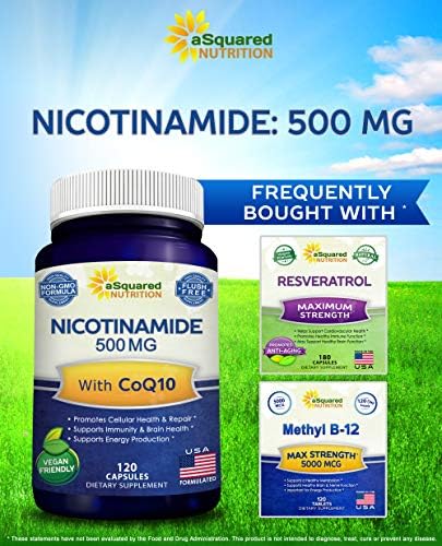 Nicotinamide with CoQ10 (120 Capsules) - Vitamin B3 500mg (Niacinamide Flush Free) - Coenzyme Q10 Powder - VIT B-3 & Coq 10 Supplement Pills to