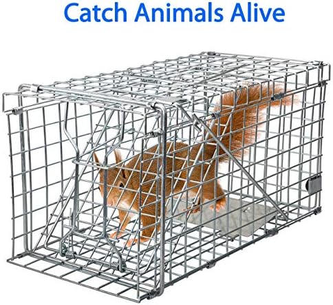 Gingbau Squirrel Trap Foldable Heavy Duty Humane Live Animal Cage Trap (Not for Mouse)