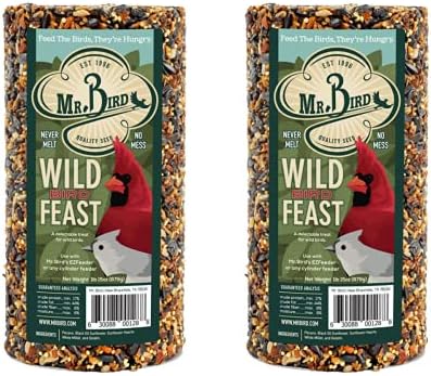 Mr. Bird WildBird Feast Cylinder, 1-Pack, 4 lbs | Wild Bird Seed for Outside Feeders | Premium Blend of Pecans, Sunflower Hearts & Millet | No Mess, No Melt