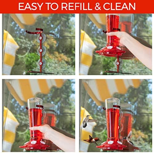 Window Hummingbird Feeder, Suction Cup, Hummingbird Feeders for Outdoors