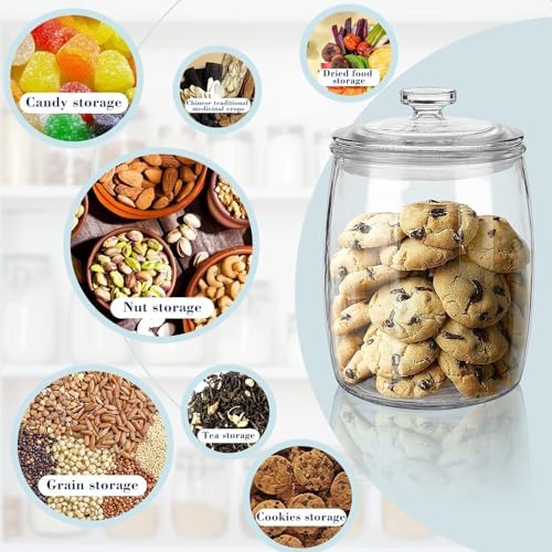 Ritayedet 2 Pack Cookie Jar, Half Gallon Glass Jars with Lids, Candy Jar
