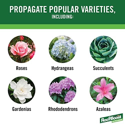 RootBoost Rooting Hormone, Rooting Powder for Plant Cuttings, 2 Ounces | Propagation for indoor and outdoor plants, container gardens and garden ornamentals, contains Hormodin 1