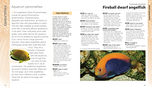 What Saltwater Fish?: A Buyer's Guide to Saltwater Aquarium Fish