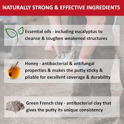 Artimud - Horse Hoof Putty Thrush Treatment 10 oz (300g) | Eucalyptus Horse Hoof Clay | Equine Frog & Sole Protection | Red Horse Products | Natural