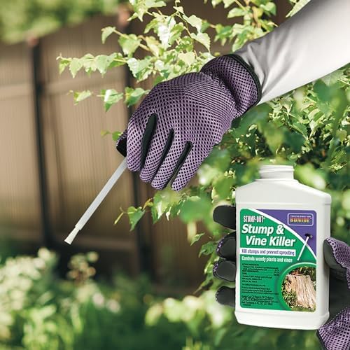 Stump-Out Stump & Vine Killer, 8 oz with Applicator | Fast Acting, Home Tree Stump Removal