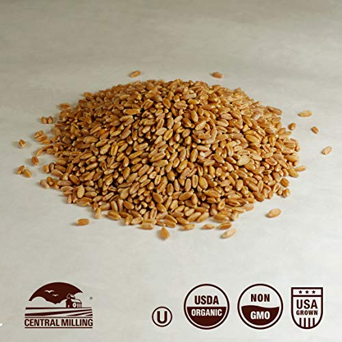 100% Organic Hard Red Spring Wheat Berries- 25 lbs