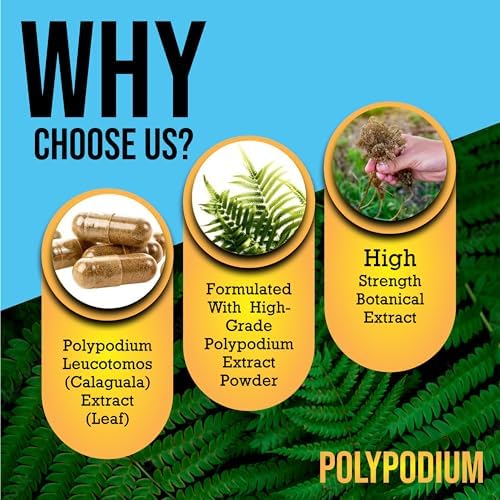 Skin Care Supplement Capsules - Nicotinamide/Niacinamide/Niacin 500mg (Vitamin B3) and Polypodium Leucotomos (Fern Extract) 480mg