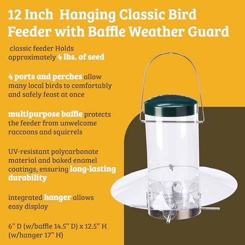 Birds Choice Classic Hanging Bird Feeder with Weatherguard Baffle | Squirrel Proof Bird Feeder for Cardinals, Chickadees