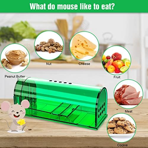 4 Pcs Humane Live Mouse Traps No Kill Reusable Mice Trap Catch