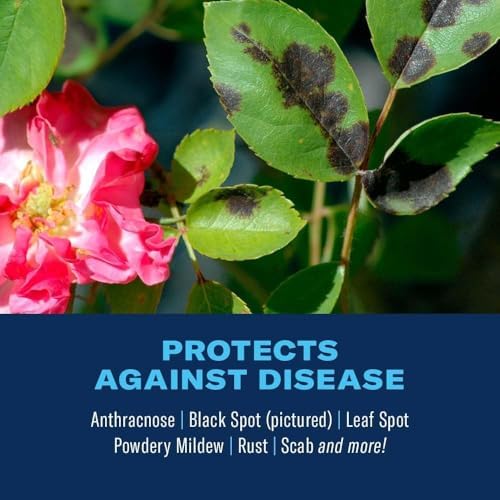 BioAdvanced 3-in-1 Insect, Disease, and Mite Control Spray - 24 fl oz | Insecticide, Fungicide & Miticide - Ready-to-Use - Prevents Pests and Diseases - Up to 30 Days Protection Bottle