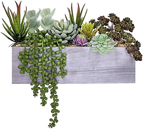 Supla Artificial Potted Succulents Plants Arrangement Fake Succulent Plants in Rectangular Wooden Pot Arrangement for Table Centerpiece Windowsill
