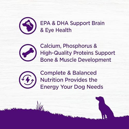 Wellness Complete Health Puppy Dry Dog Food, Grain Free Kibble, Natural, Chicken and Salmon Recipe, 24 lb Bag