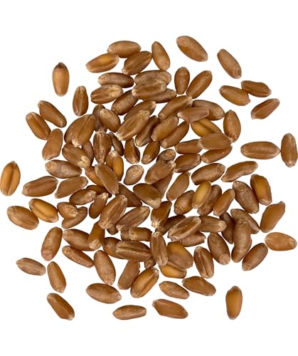 Palouse Brand Certified Glyphosate Residue Free Hard Red Winter Wheat Berries | 25 LBS Bag | Sproutable | Non-GMO Project Verified | Kosher
