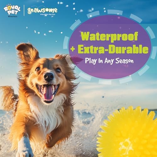 Gnawsome™ 3.5” Spiky Squeak & Light Ball Dog Toy - Medium, Cleans Teeth and Promotes Good Dental and Gum Health for Your Pet, Colors will vary