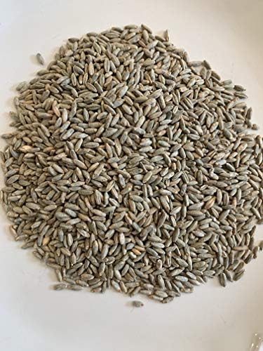 North Georgia Still Company's Fermentation Kit for Moonshine, Malted Barley, Rye & Wheat Whiskey, DIY 5 Gallon Mash Kit