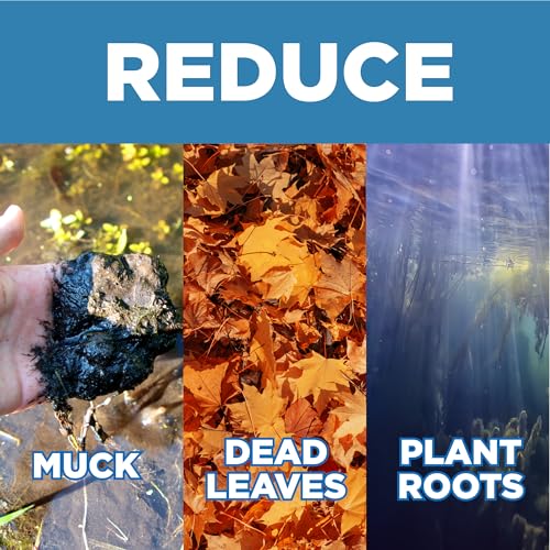 Jenlis Muck Razer Aquatic Weed & Sludge Tiller for Pond & Lake Shorelines | Heavy-duty tool reduces silt, scum, and mud, cleans sand beaches