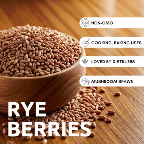4 Pounds Rye Berries – Non-GMO Whole Rye Grain for Baking, Mushroom Spawn, Brewing & Distilling – Extra Clean, Resealable Bag, 100% USA Product